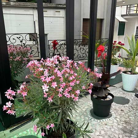 Halvat Guesthouse